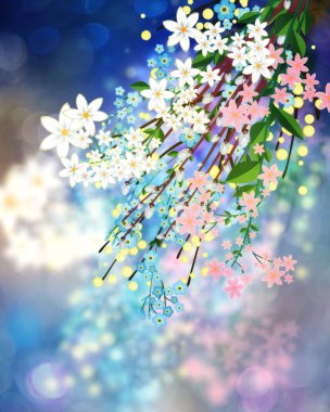 renkli bahar çiçekleri