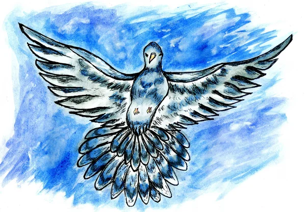 Dove Sketch — Stock Photo, Image