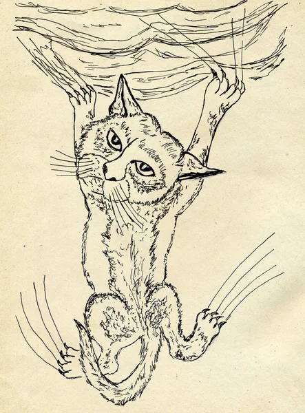 Kitten Scratching Sketch — Stock Photo, Image