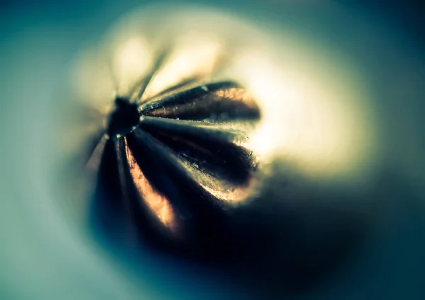 Supermacro de Bullet — Photo