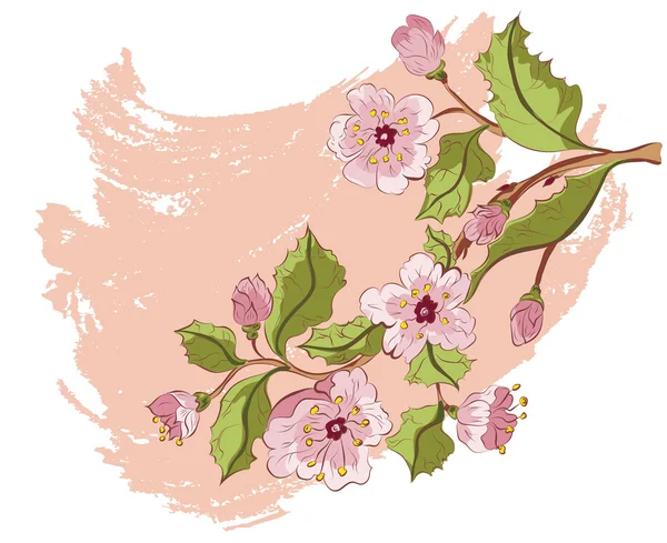Dibujo de color de Sakura Branch — Vector de stock