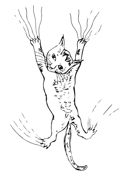 Gatito rascándose boceto — Vector de stock