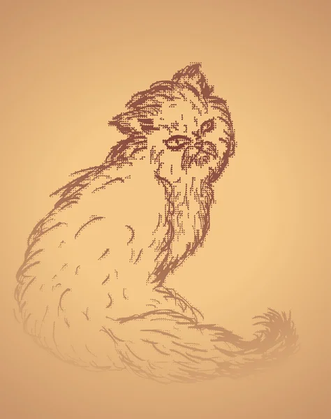Bosquejo de gato persa — Vector de stock