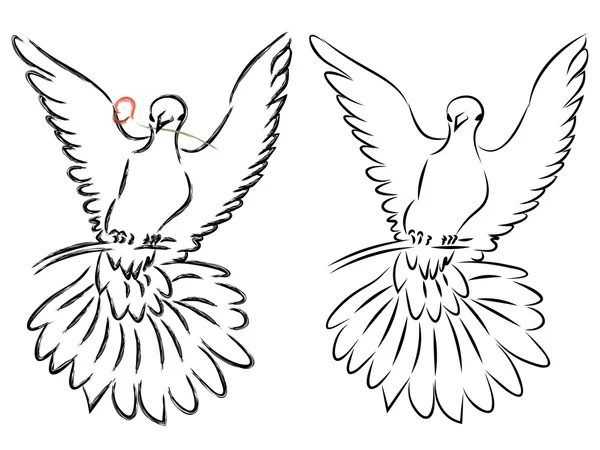 Dove lijntekeningen — Stockvector