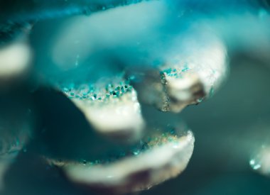 Pırıltılar süper makro