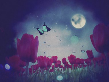 gece laleler