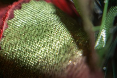 Makro Noel süslemeleri