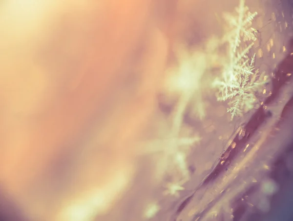 Supermacro of Snowflakes — Stock Photo, Image