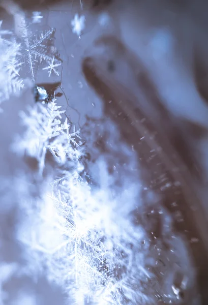 Supermacro сніжинки — стокове фото