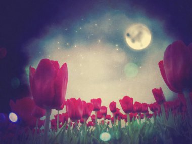 gece laleler
