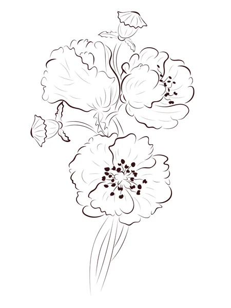 罂粟的线稿 — 图库矢量图片