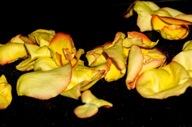 turuncu gül yaprakları