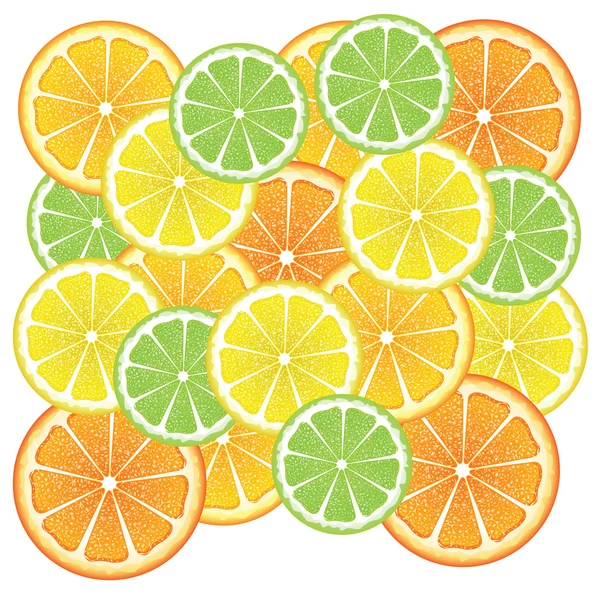 Různé citrusové řezy — Stockový vektor