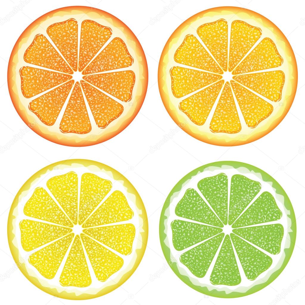 Various Citrus Slices