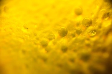 Rose Petal damlacıkları ile