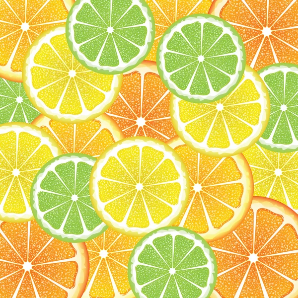 Olika citrus skivor — Stock vektor