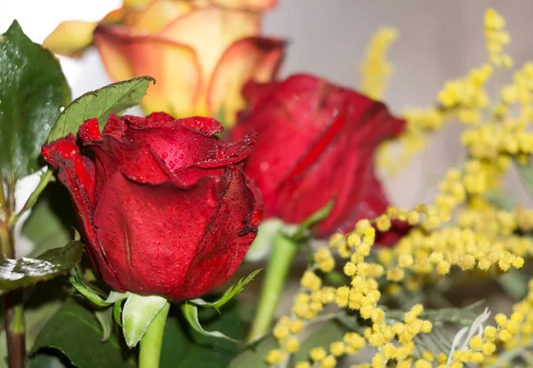 Rote und orange Rosen Blumenstrauß — Stockfoto