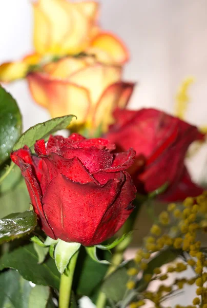 Buquê de rosas vermelhas e laranja — Fotografia de Stock