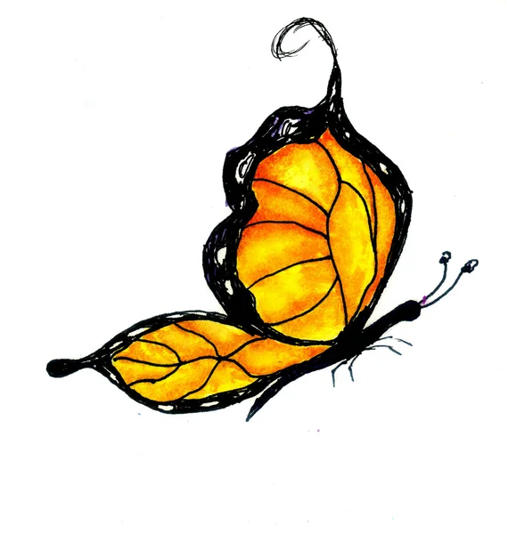 Aquarell-Schmetterlingsdesign — Stockfoto