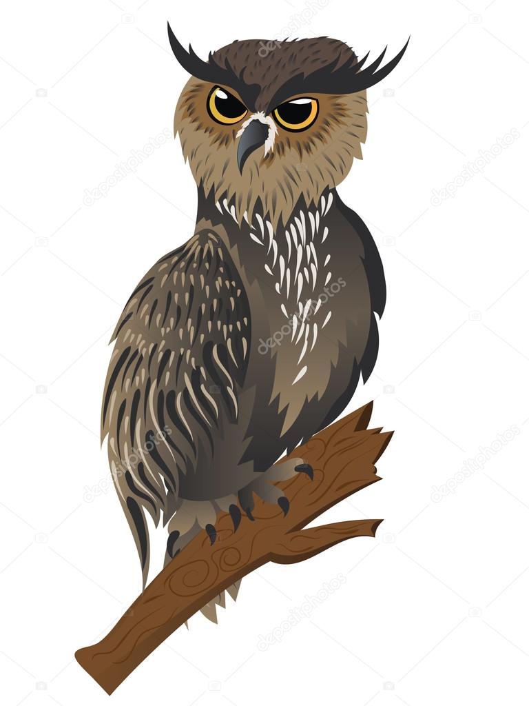 Horned Owl on a Branch