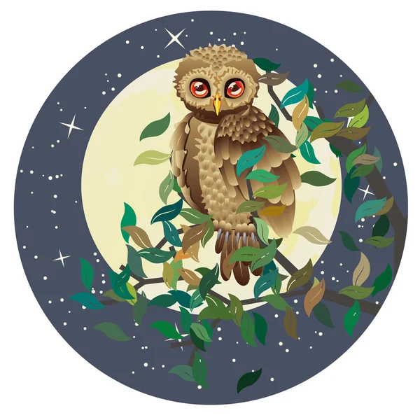 OWL E MOON — Vetor de Stock