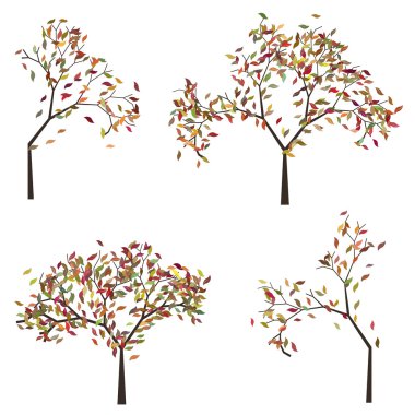 Sonbahar pus ağacıyla