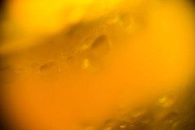 Islak sarı gül Supermacro