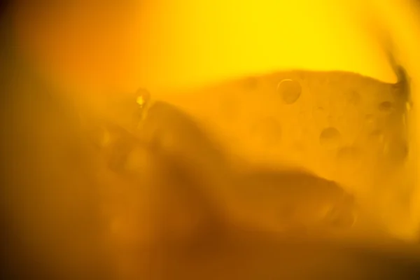 Wet Yellow Rose Supermacro — Stock Photo, Image