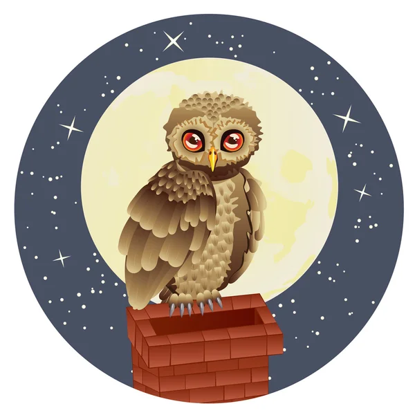 OWL Y LUNA — Vector de stock