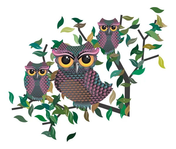 Owls on a Branch — Stock Vector