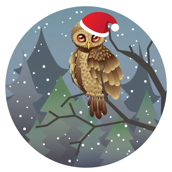 かわいいクリスマスのフクロウ — ストックベクタ