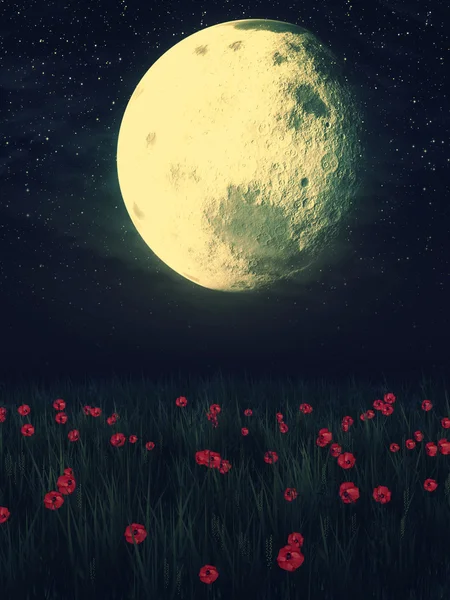 Місяць над польових трав — стокове фото