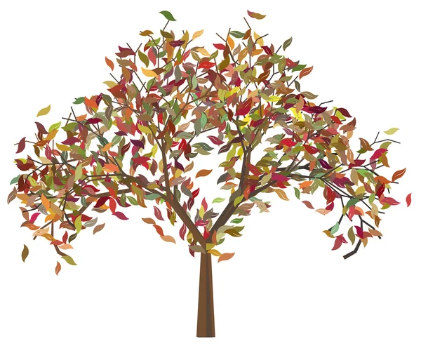 Tree with Autumn Leafage — Stock Vector
