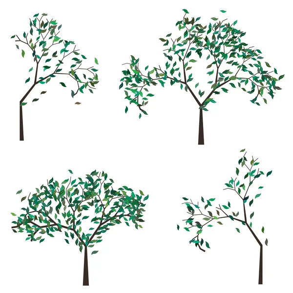 Tree with Green Leafage — Stock Vector