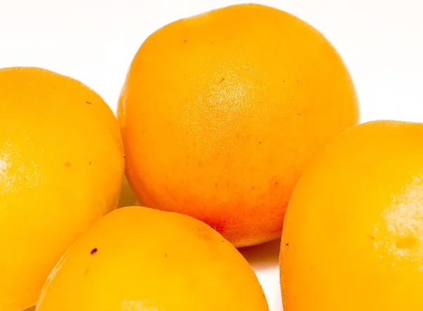 Fresh Apricot — Stock Photo, Image