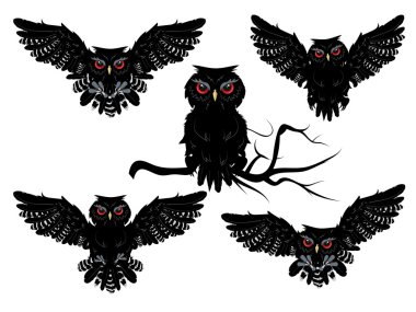 Black Owl clipart
