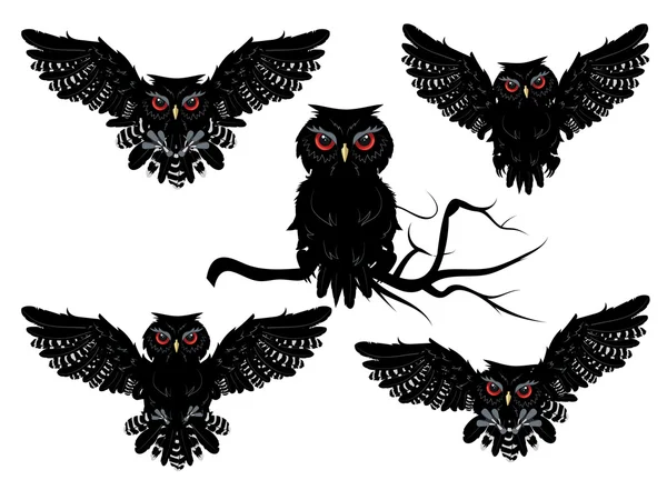 黑色猫头鹰 — 图库矢量图片