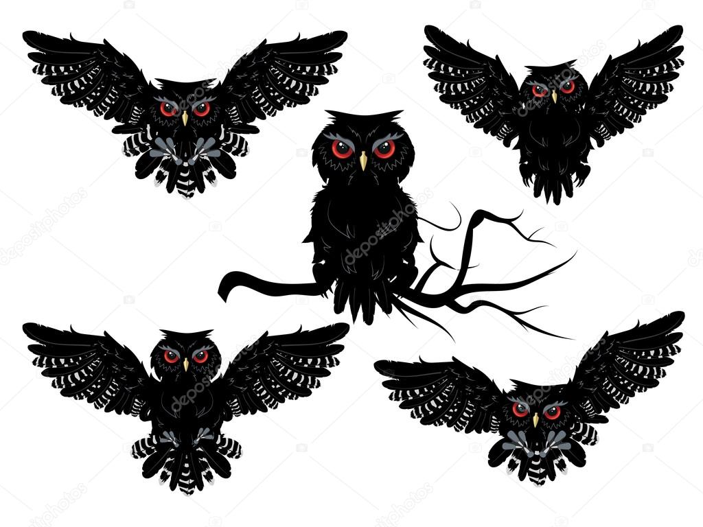 黑色猫头鹰图库矢量图©artshock 85118342, image size:1024x768