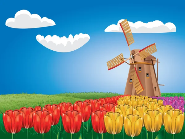 Moulin à vent et tulipes — Image vectorielle