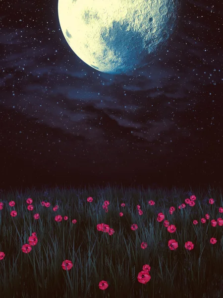 月亮在草田 — 图库照片