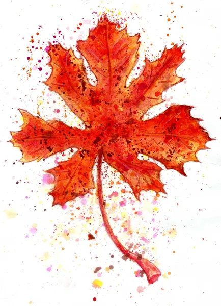 Maple Leaf Painting — Stock Photo, Image