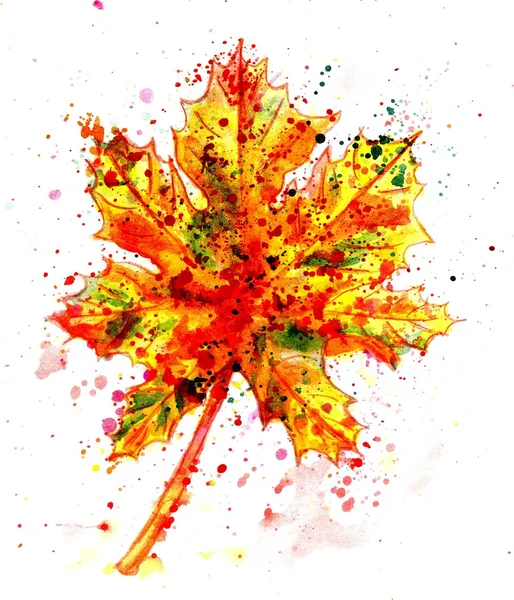 Maple Leaf Painting — Stock Photo, Image
