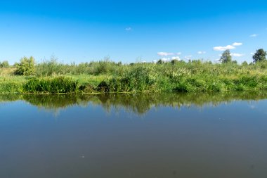 Yeşil orman ve nehir