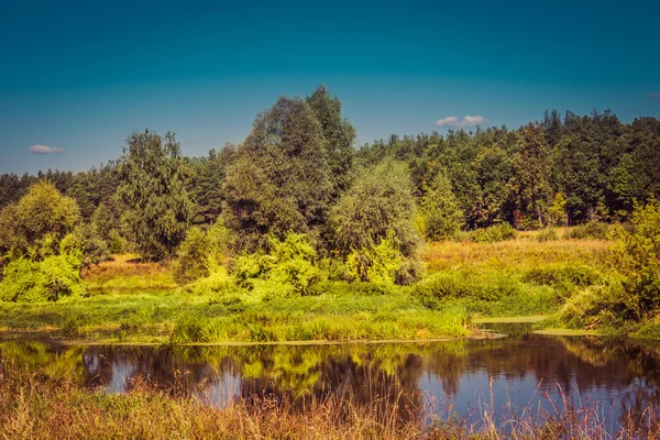 Floresta Verde e Rio Retro — Fotografia de Stock