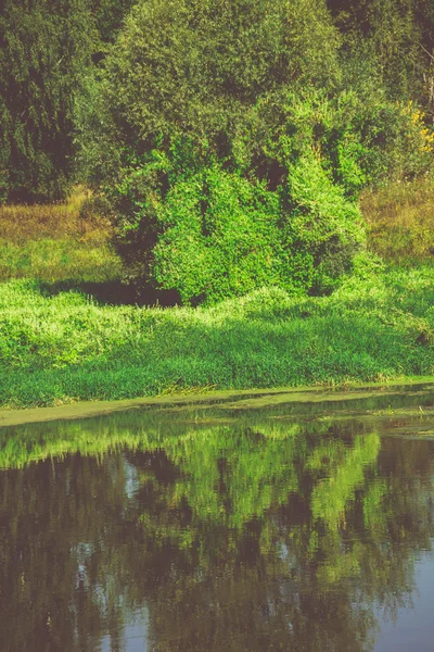 Grüner Wald und Flussretro — Stockfoto