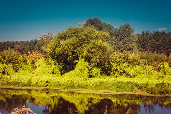 Floresta Verde e Rio Retro — Fotografia de Stock