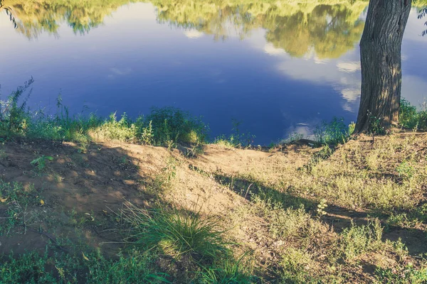 Forêt verte et rivière Rétro — Photo