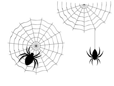 Halloween örümcek cartoon