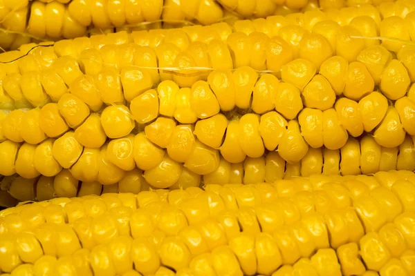 Macro épi de maïs — Photo