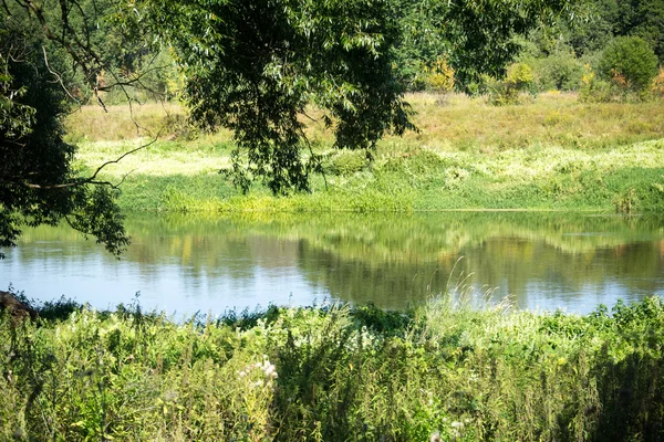 Zöld erdő és a folyó — Stock Fotó